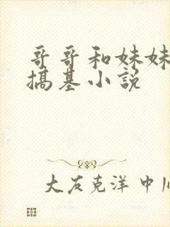 哥哥和妹妹一起搞基小说