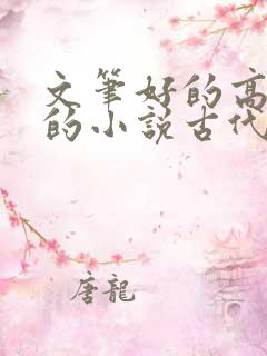 文笔好的高质量的小说古代言情