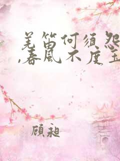 羌笛何须怨杨柳,春风不度玉门关翻译