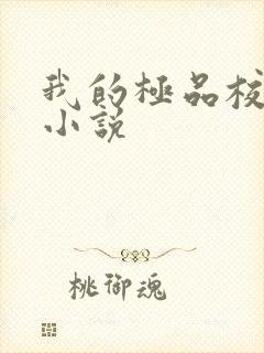 我的极品校花 小说