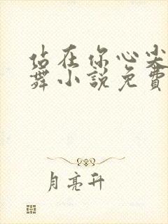 站在你心尖上起舞小说免费阅读