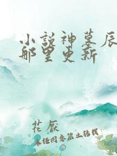 小说神墓辰东在那里更新