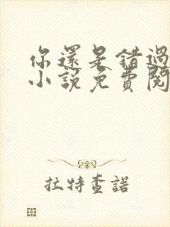 你还是错过了我小说免费阅读全文