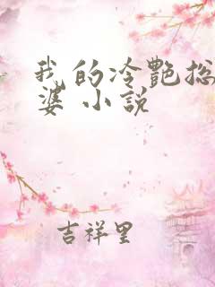 我的冷艳总裁老婆 小说