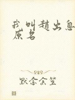 我叫赵出息小说原名