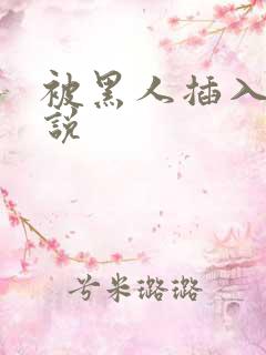 被黑人插入的小说