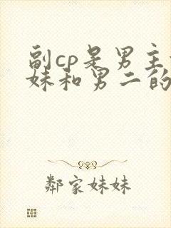 副cp是男主妹妹和男二的小说