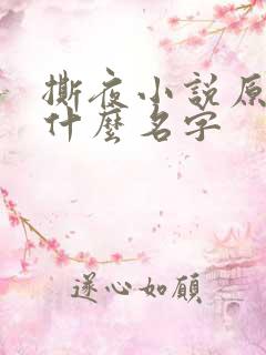 撕夜小说原著叫什么名字