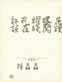 许我耀眼原著小说在线阅读