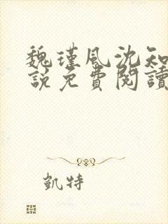 魏瑾风沈知玉小说免费阅读最新章节