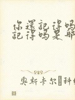 你还记得吗你还记得吗是哪首歌的歌词