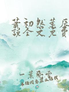 萧初然叶辰的小说全文免费阅读一