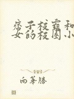 痞子校霸和乖乖女的校园小说