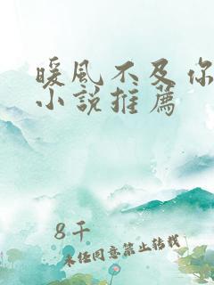 暖风不及你情深小说推荐