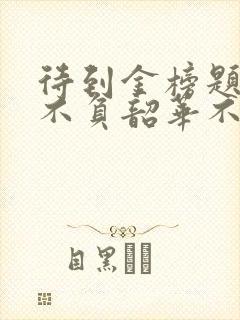 待到金榜题名时不负韶华不负卿