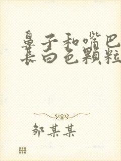 鼻子和嘴巴周围长白色颗粒