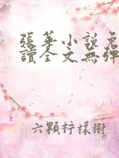 张华小说免费阅读全文无弹窗