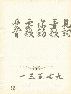 爱要你看见是哪首歌的歌词