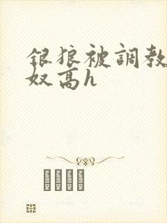 银狼被调教成肉奴高h