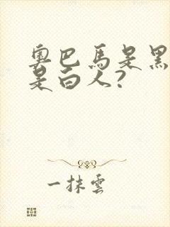 奥巴马是黑人还是白人?