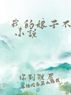 我的娘子不是妖 小说