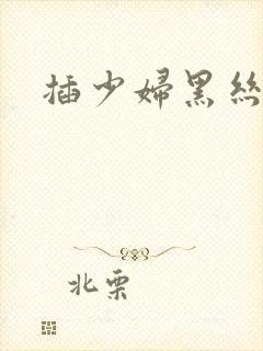 插少妇黑丝的逼