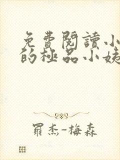 免费阅读小说我的极品小姨