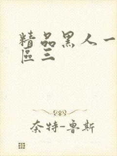 精品黑人一区二区三