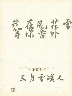 我在风花雪月里等你番外