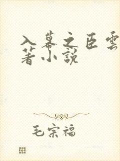 入幕之臣云夙原著小说