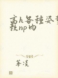 高h各种姿势调教np肉