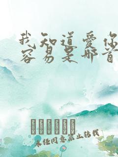 我知道爱你并不容易是哪首歌的歌词