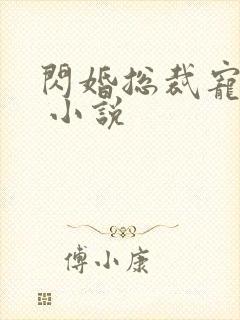 闪婚总裁宠上天 小说