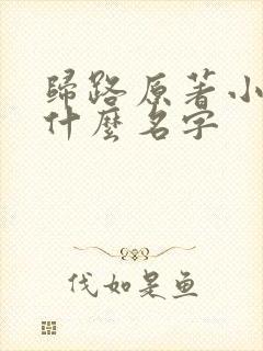 归路原著小说叫什么名字