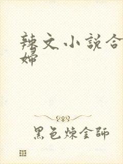 辣文小说合集少妇