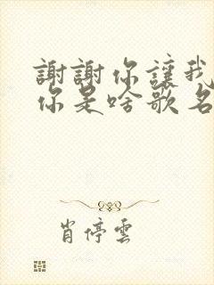 谢谢你让我遇见你是啥歌名