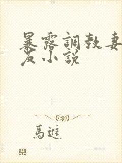 暴露调教妻子女友小说