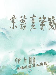 爱若有攻略原著小说免费阅读