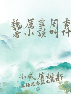 魏厉宁周秀英原著小说叫什么