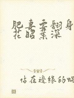 肥妻要翻身小说花昭叶深