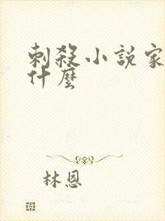 刺杀小说家1讲什么