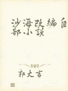 沙海改编自哪一部小说