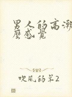 男人的高潮是什么感觉