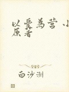 以爱为营 小说原著