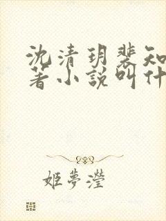 沈清玥裴知晏原著小说叫什么