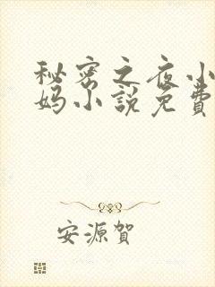 秘密之夜小宇后妈小说免费阅读全文