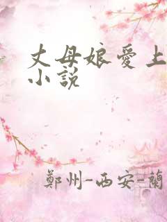丈母娘爱上女婿小说
