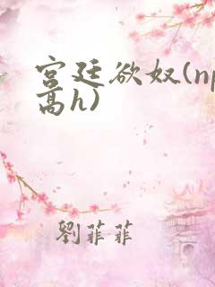 宫廷欲奴(np高h)
