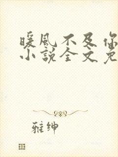 暖风不及你情深小说全文免费阅读无弹窗