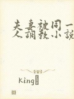 夫妻被同一个主人调教小说